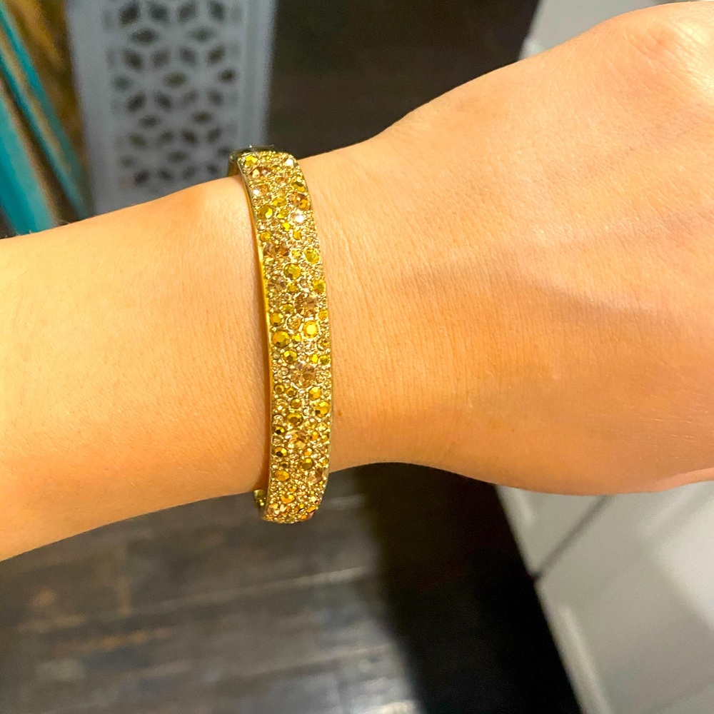 Fossil Bracelet